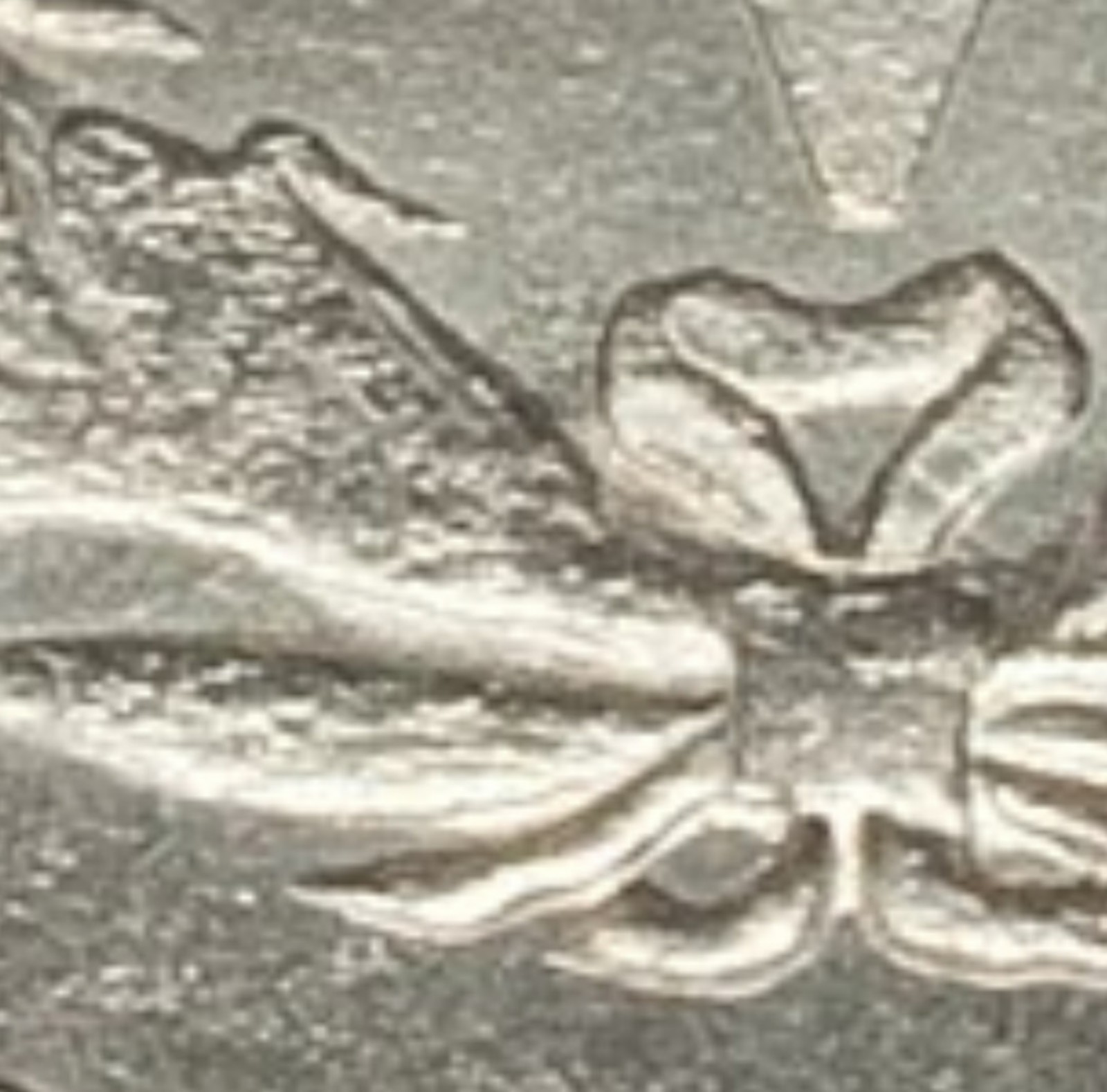 1883-5c-Liberty-Head-Nickel-#-I-Don't-Know-How-Many-Of-These-I-Have